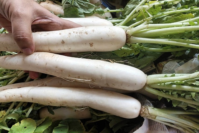 White radish